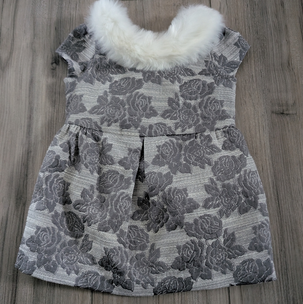 Janie & Jack Elegant Gray Floral Kids Dress with Faux Fur Collar Sz 6-12 months